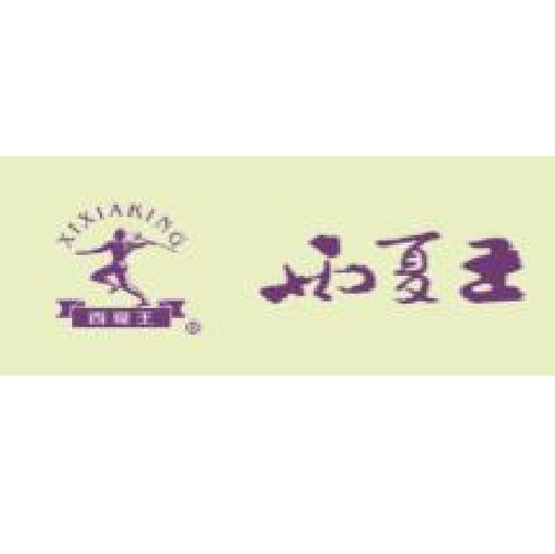 西夏王